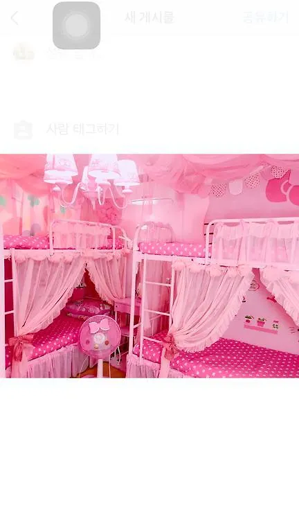 Pink Bnb Seoul Villa